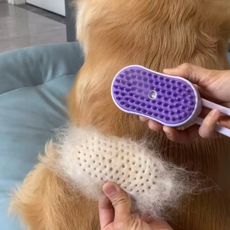 Pet Steam Brush